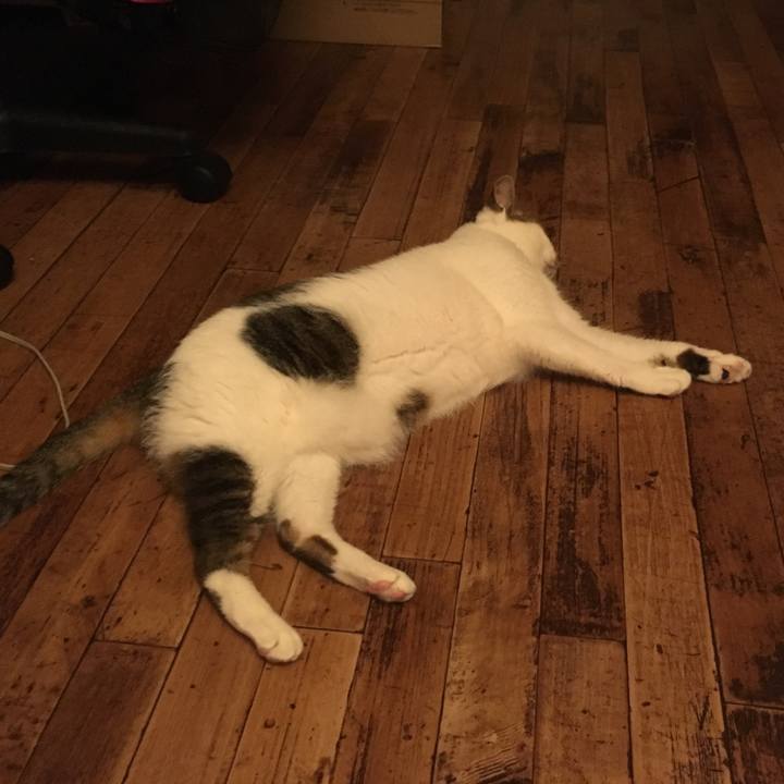 E9af836e 2560 41d6 98ec 12bd262e5718 1564406344859