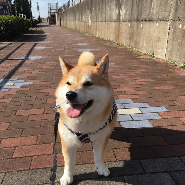 E9af846c 289b 4f12 91eb 8e5908fea6a0 1542426879428