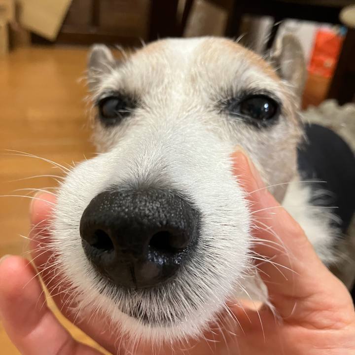 E9af8695 a923 4adf 846b 3c9e5a0215b0 1720135594452