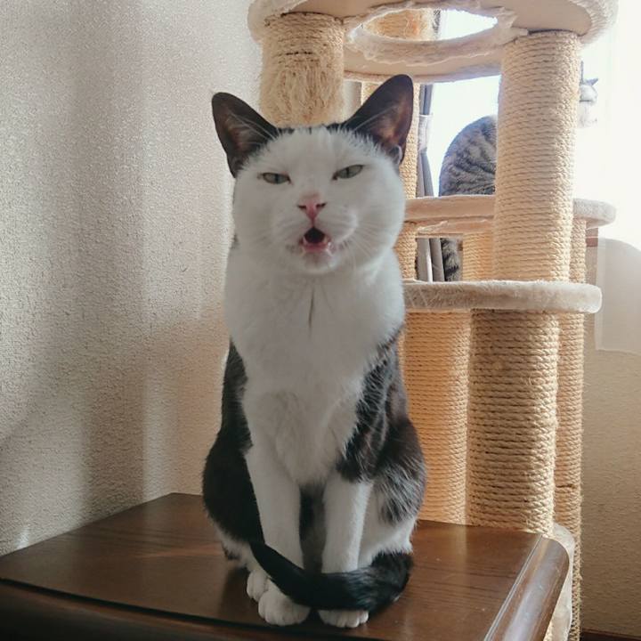 E9afd572 631a 4c0f be1c 826c78d1afed 1509427248567