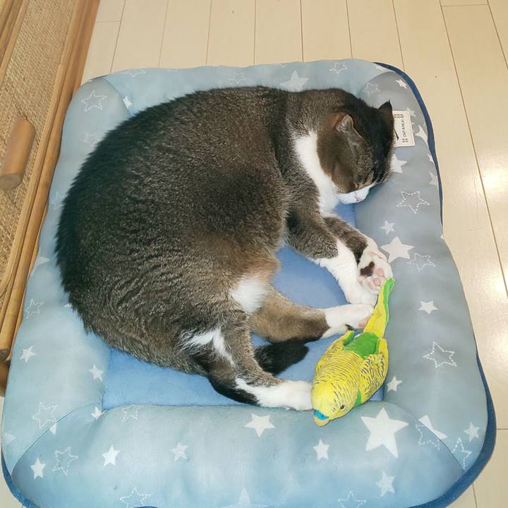 E9afefb3 144b 4be5 9f11 5536a565a6b5 1652585164039