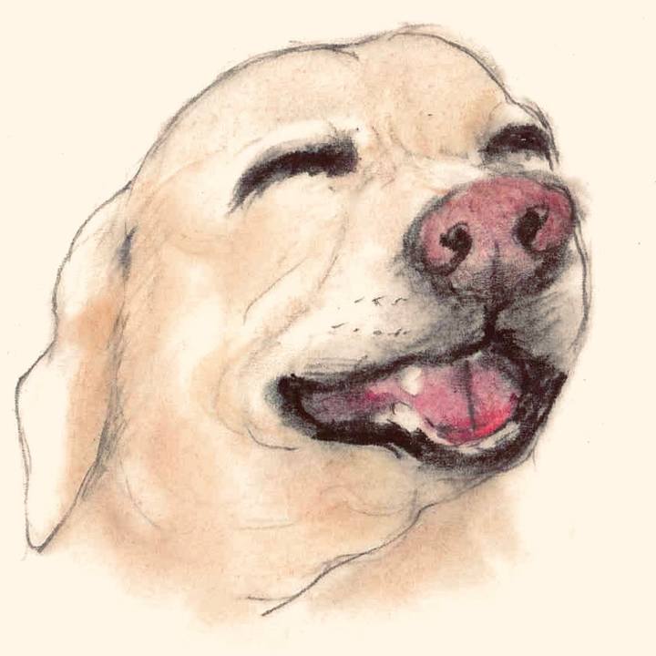 E9aff1ac b58e 414c 8549 c178a3e5e342 1630336129496