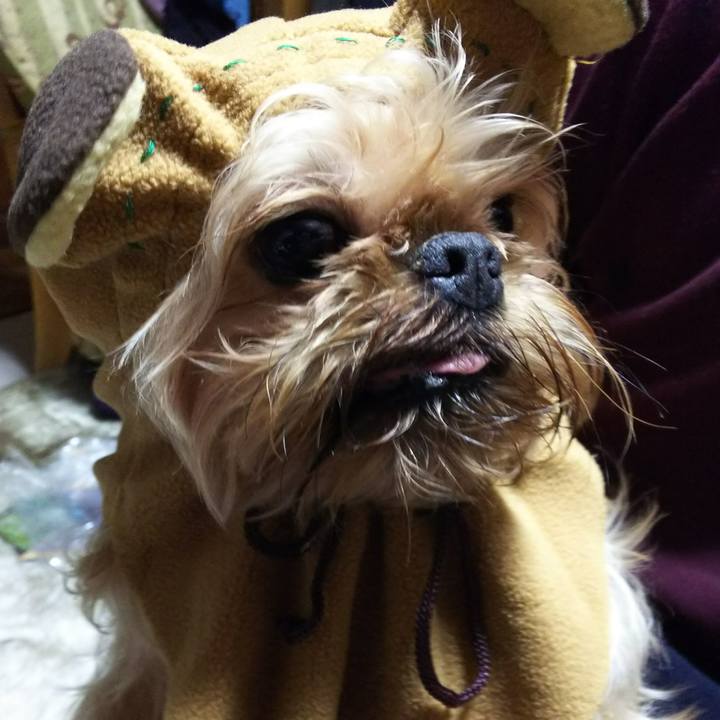 E9aff9be 8ce8 459c 963f 1cdbe2f38f70 1516961621549