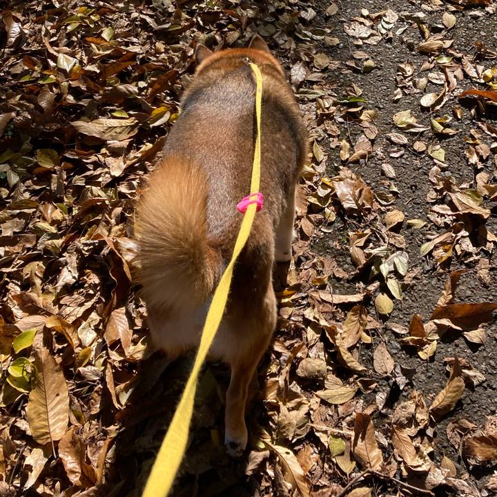 E9b02bc5 66a0 4b66 a448 a0c1e1b41396 1638426032130