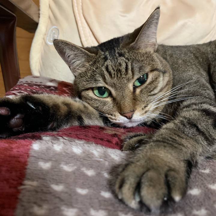 E9b0827e 8413 4fae ac2b 5129574e2591 1566633671727