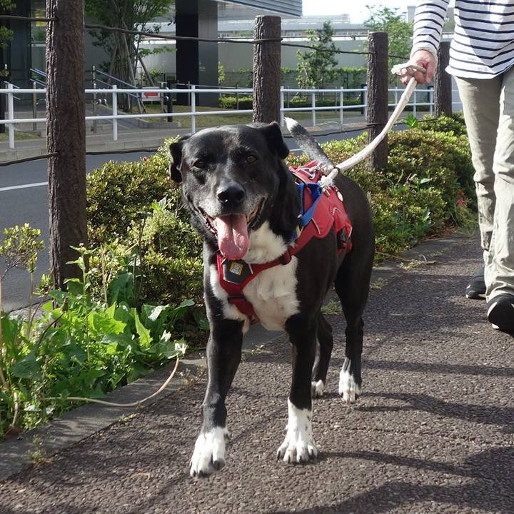 E9b0f816 76ef 4234 9945 6f8dc2a6abe7 1682729943213