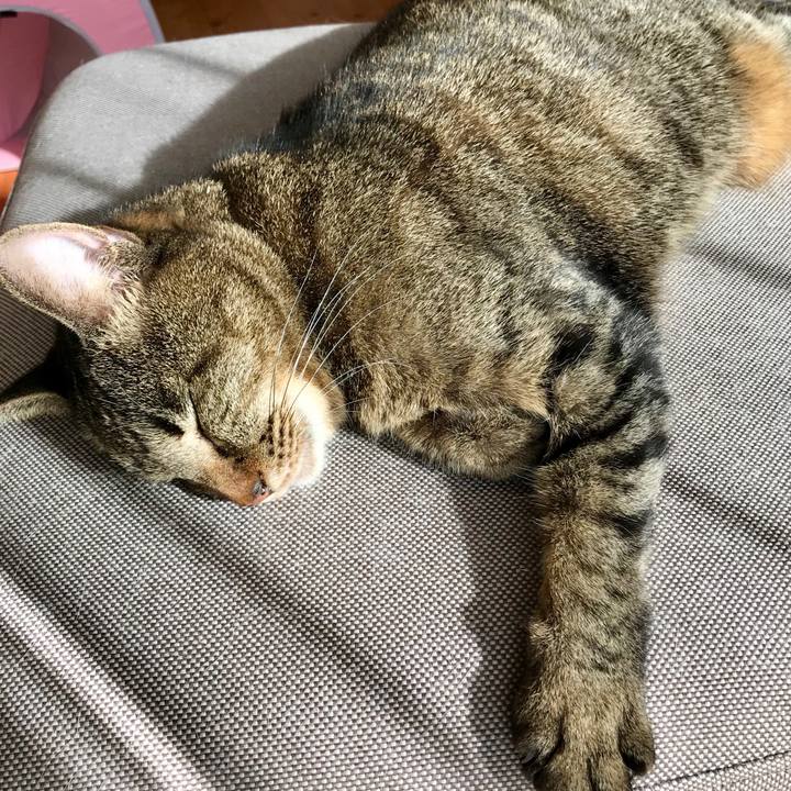 E9b10018 5055 4f3b ba0a a1321157bd0d 1546135621978