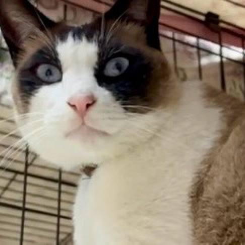 E9b109b6 94f1 420c 9bfa f4dc612849b4 1747215714556