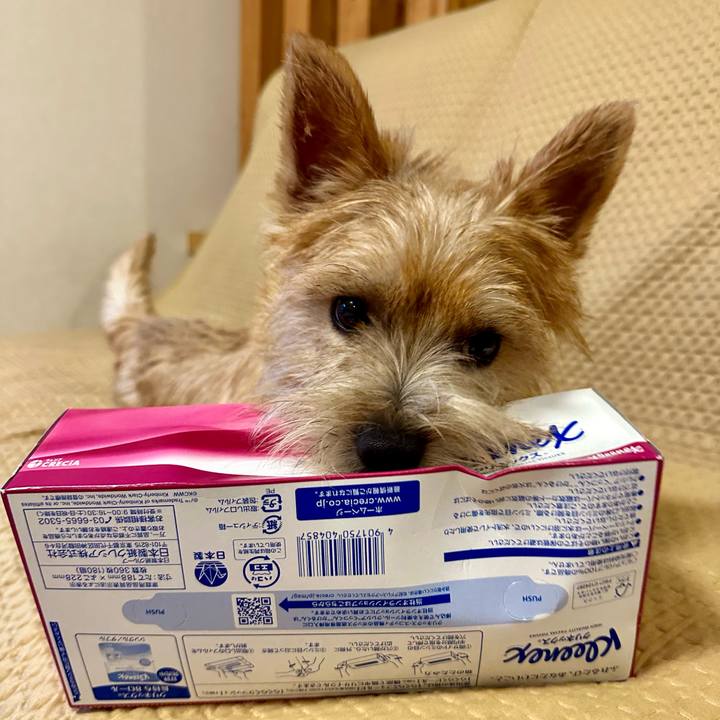 E9b12248 5ba1 4049 8980 56f637d4c4a6 1722415815595