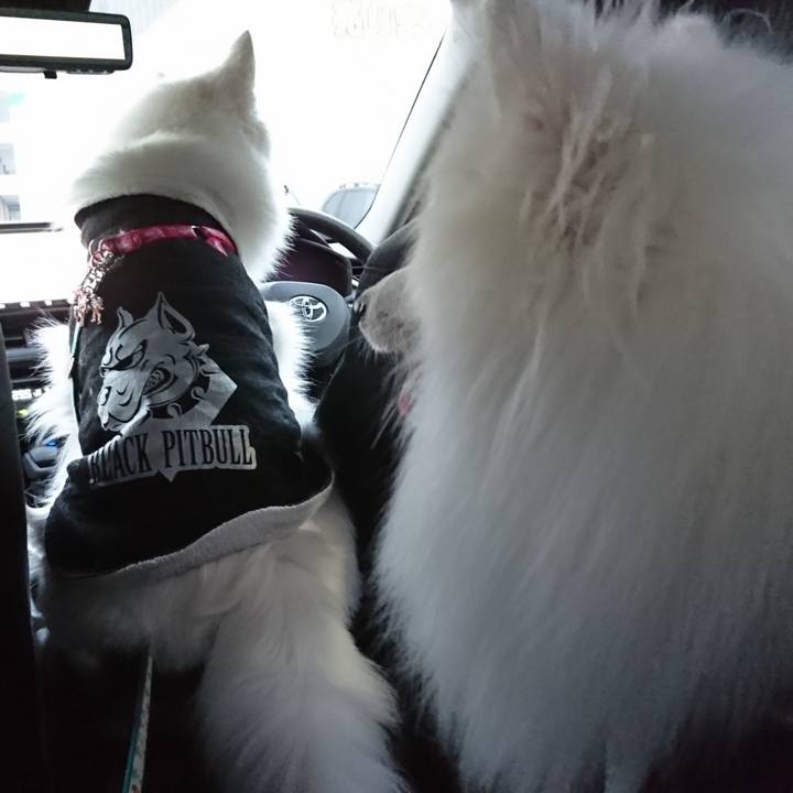 E9b135c6 e9ad 49a0 9ec9 7113e5fe9d06 1576308375379