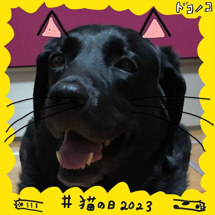 E9b16006 309a 46d5 b759 ac438e09a7bf 1677026381717