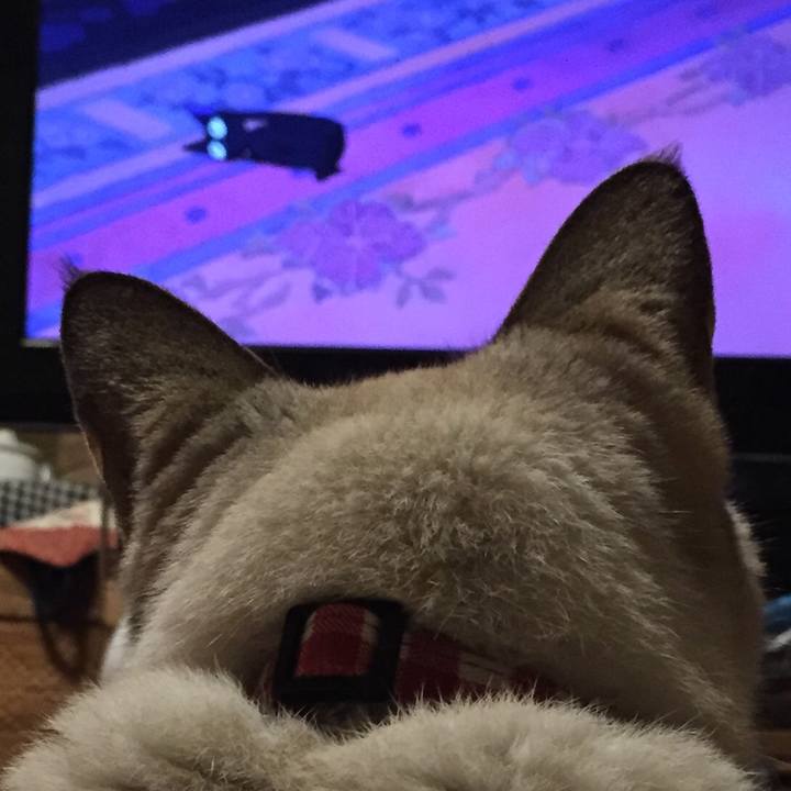 E9b17cd6 da2e 4436 aa81 001af23f02b5 1515157209583