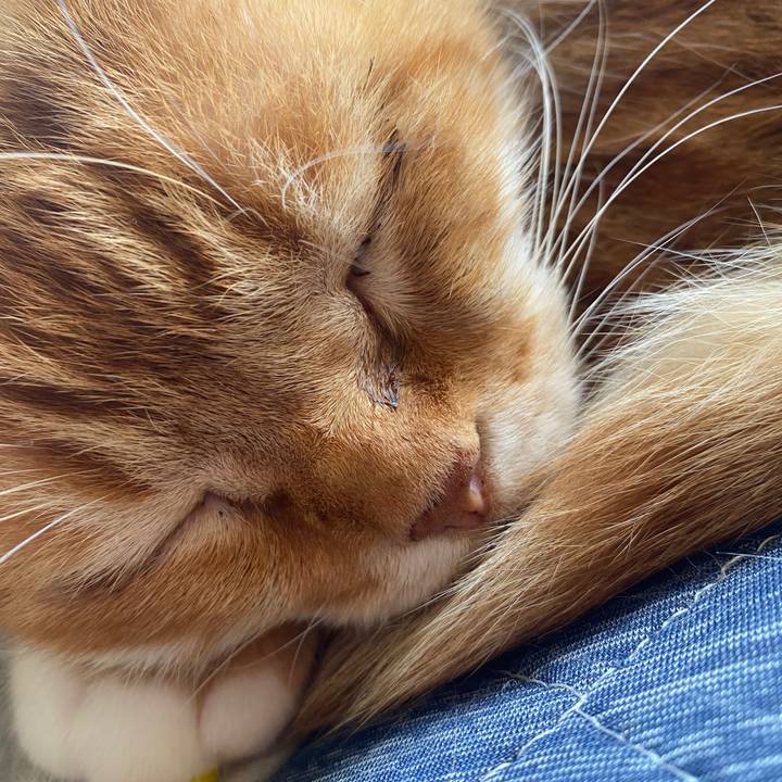 E9b1822c af84 4214 9336 6193d7aa5e9b 1588381501733