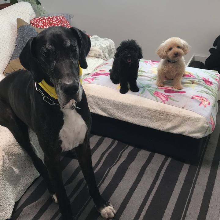 E9b1beab 7981 47e1 9ec6 fd5694652df3 1535582644214