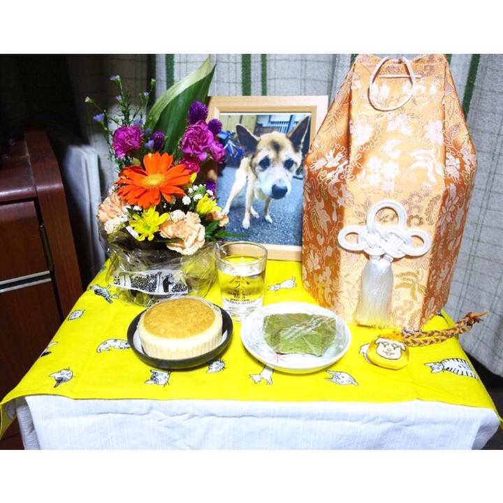 E9b20959 b3d3 483c bac3 4480d2232a7b 1569153730802