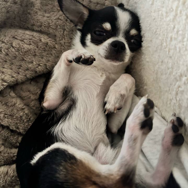 E9b25687 fad1 40f7 868b 1b6a2ea49cdf 1772959104965