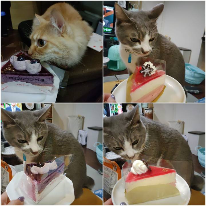 E9b25ba4 2208 4e50 8153 c174a0b55d9e 1702044332680