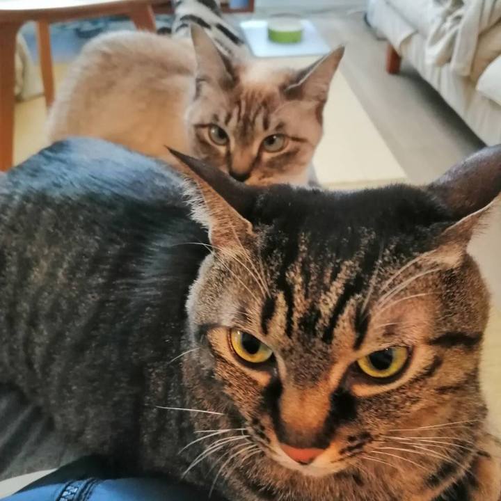 E9b2974f dd0b 402e a711 c8745f8efec8 1578891200684