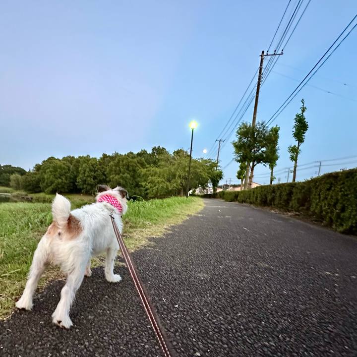 E9b2b15c e164 4678 9bb6 8b7569752944 1752127078567