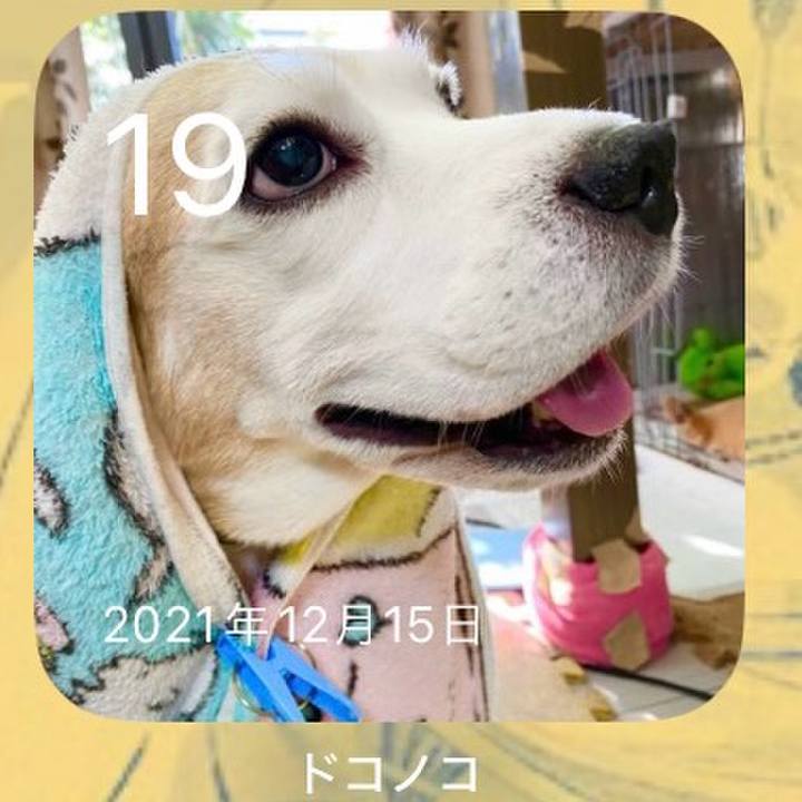 E9b2ec6e e05c 4cf0 b38a 28d6fe9e2df5 1702946184662