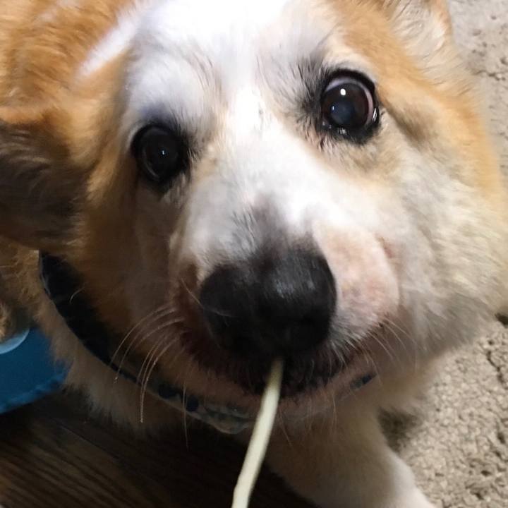 E9b3050c 289a 4b9a 8502 4c0b7d40b12a 1561386010247