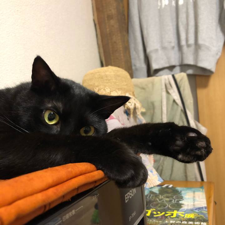 E9b32dd0 b32f 4fbb 972b 54c0fa8f4586 1561556573855