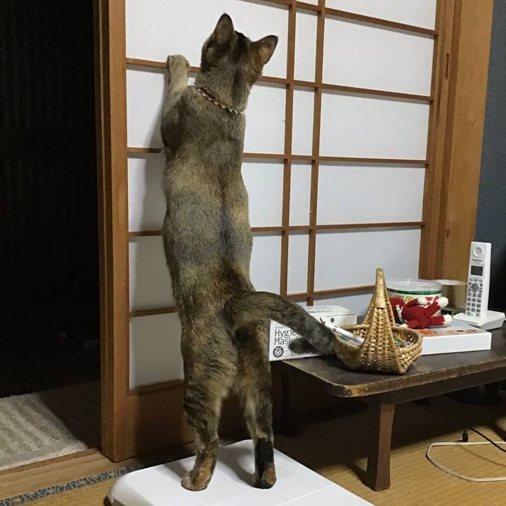 E9b32e0c 0051 4f0d ab30 a18c9bc52b2f 1581587609932