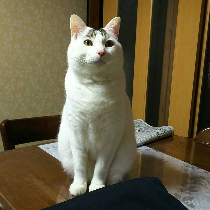 E9b38044 d9f4 4d13 89e6 4b186be4e7f4 1508680700359