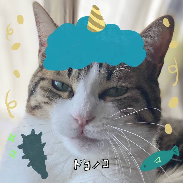 E9b38cfb f6d6 43d6 bbb1 6058b34ab935 1706923430590
