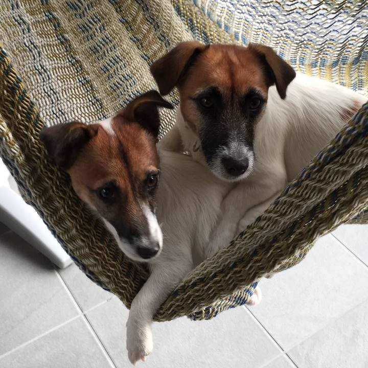 E9b3a089 7f19 438a 953a 9324cb8b34fb 1509781802723