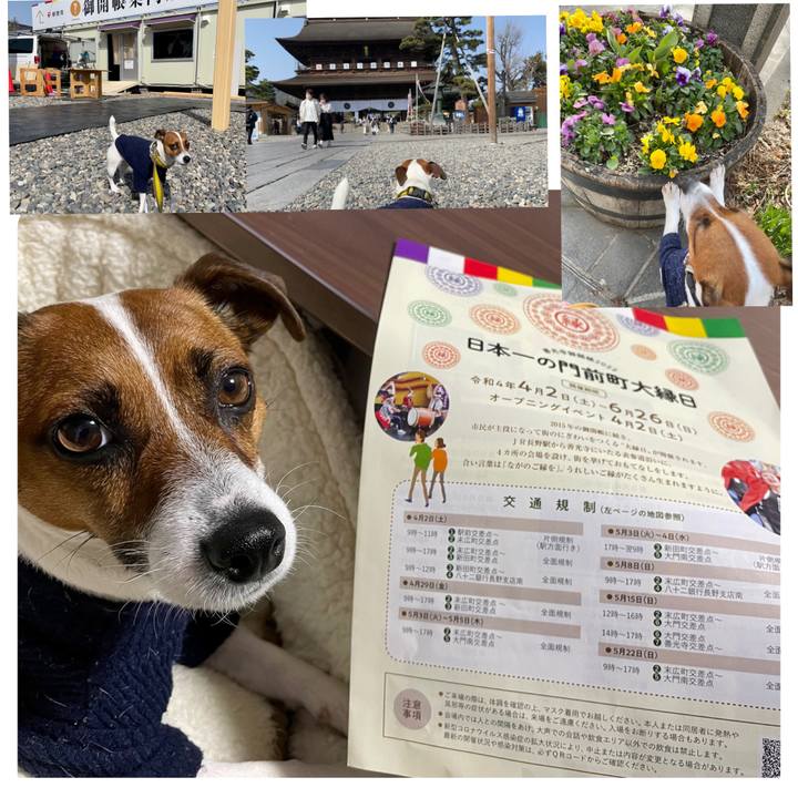 E9b3d14c e903 426a 81af e77d4f9f9a2e 1648366878627