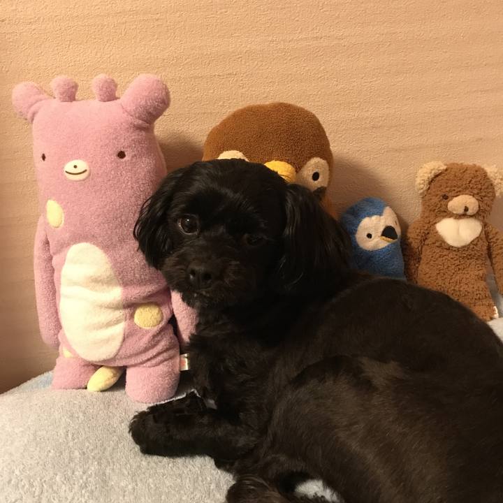 E9b3ed81 e252 48c1 ae7e d24d355498d4 1525773397056