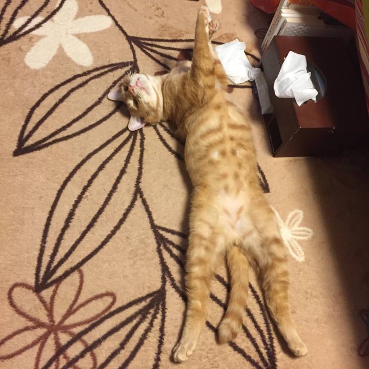 E9b40529 f5df 443e 834a 59fb936c7522 1526300156080