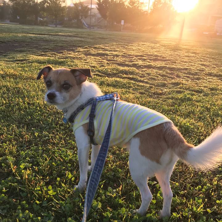 E9b428b1 806d 4981 9551 a2195dbdecef 1538085023718