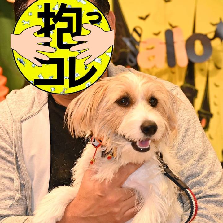 E9b44b32 f82a 466a 8574 a7567e6af20a 1761475275967