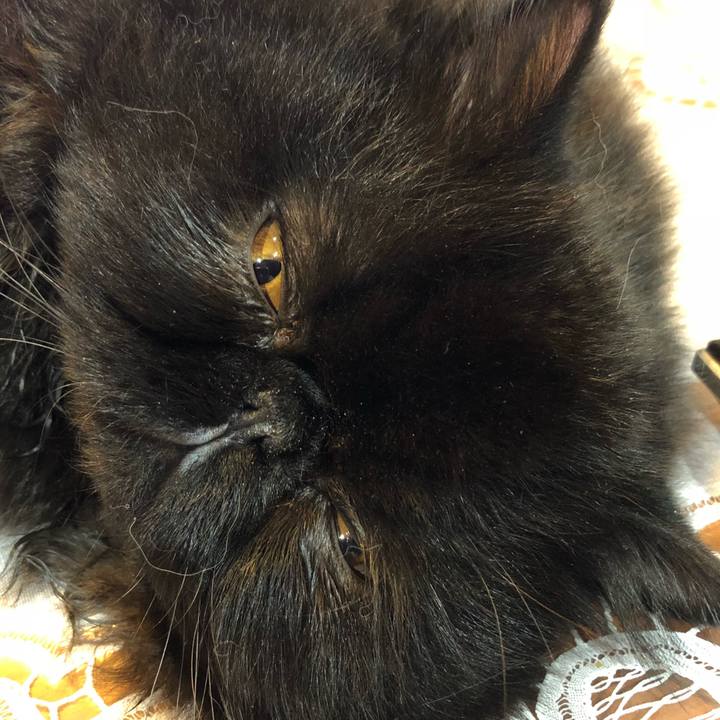 E9b45a33 f88c 4d4c 84cc 057e804d0549 1536272009776