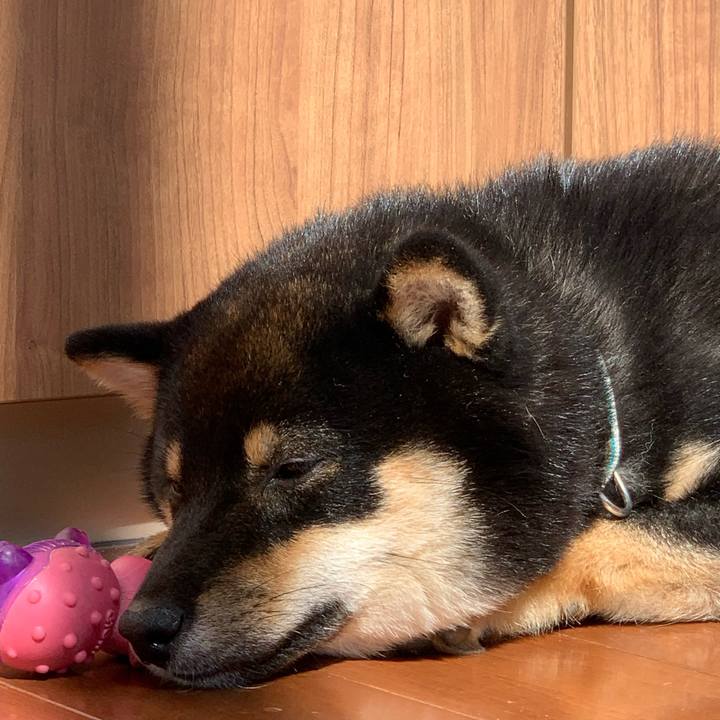 E9b48e05 601e 41e1 a058 d476ee590e3d 1631263756113