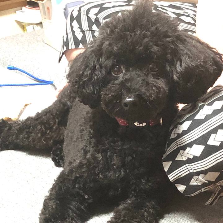 E9b4c625 0269 486a 817b 61dc9a94ab1c 1595585130843