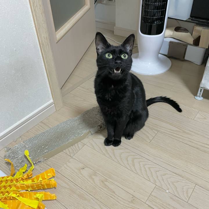 E9b4fe08 c276 4f31 9dda 8e8f3230fc6d 1691232948873