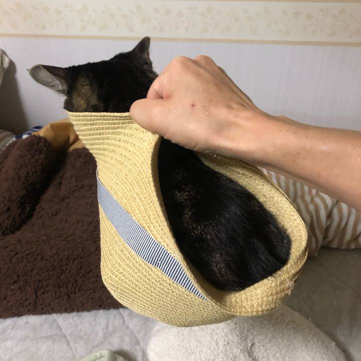 E9b50f30 5347 4f41 a09b 3e9e6d80b783 1620096439701