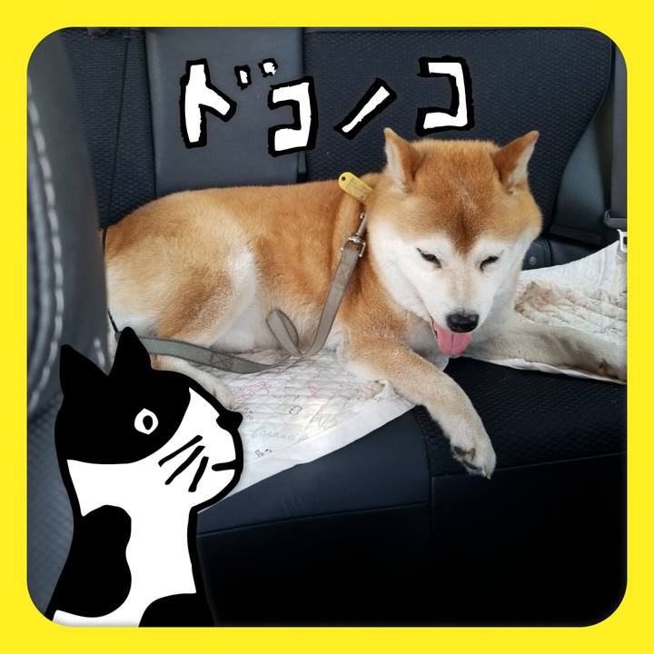 E9b57615 e525 40da a113 1fb6c460b150 1623465215776