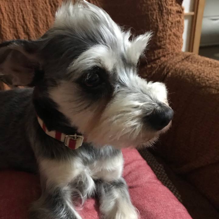 E9b5a9ad 4e5e 4bfa 9ab6 63bc7e68bae7 1555074142751