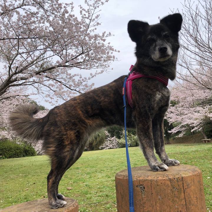 E9b5b331 4888 41d6 ad92 272c099239cf 1650120927247