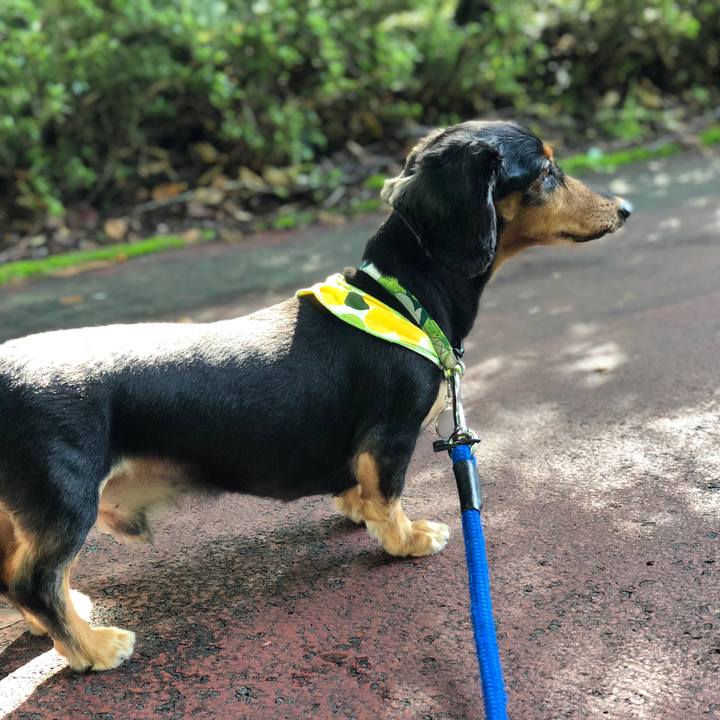 E9b5bbc3 5744 4ec7 8eef 5f9798546078 1534206692609