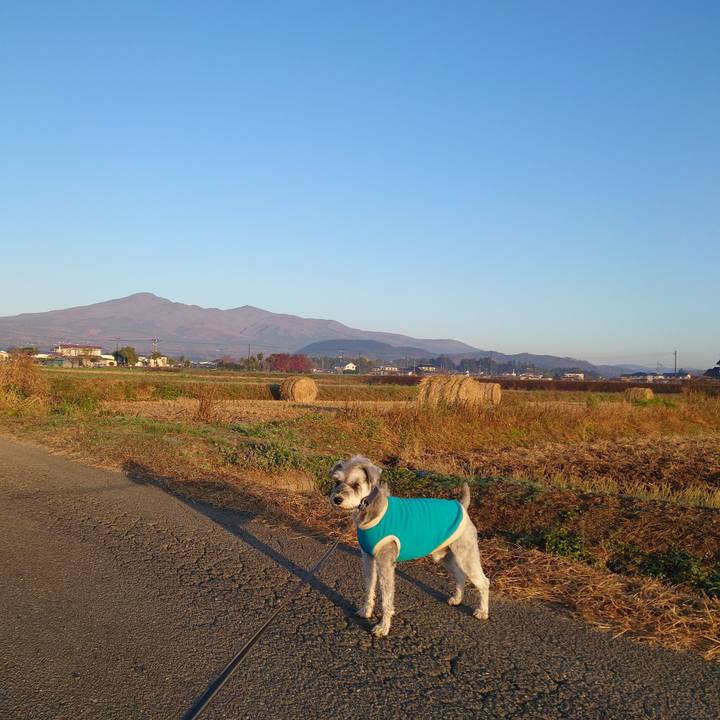 E9b5c81a d31b 43c8 b531 4faf7f83ed94 1763335599090