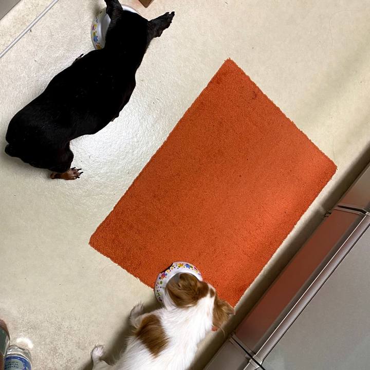 E9b5fb58 6752 43f9 9625 14fd4a0e4f7c 1610337267265