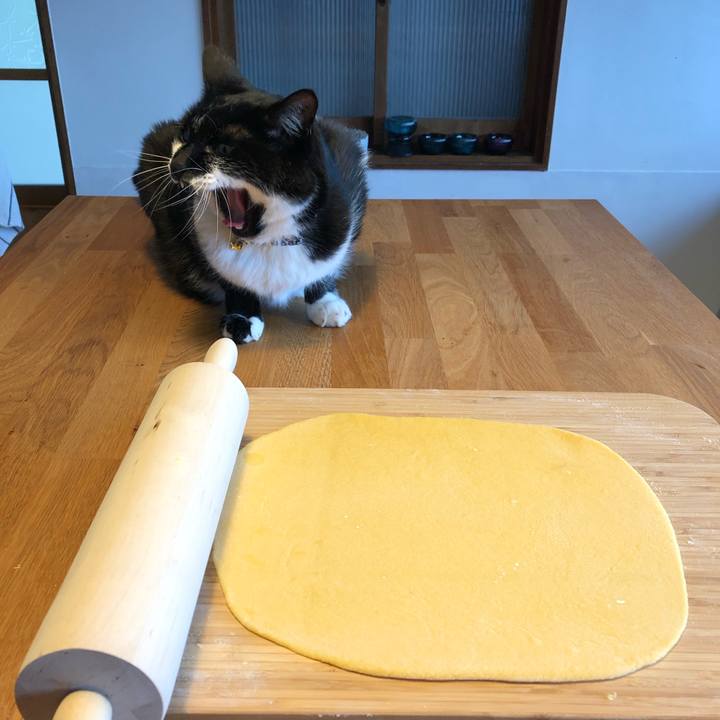 E9b5fcaf 4b6a 4896 a3be fe25d45b3f91 1558862449291