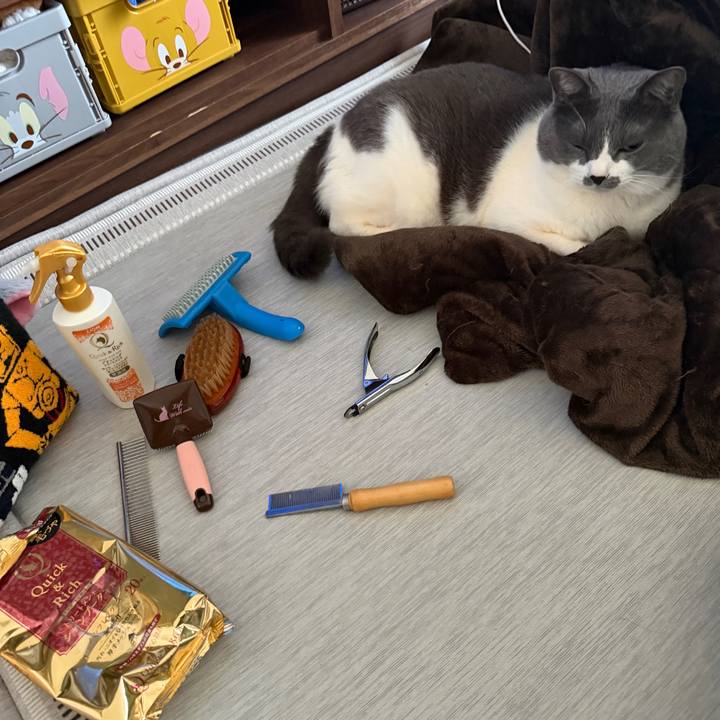 E9b64b37 e642 4751 bdc8 b42a4d6768bf 1769919541060