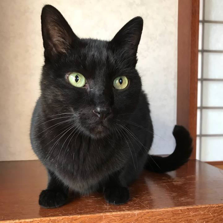 E9b64f30 465b 4a7c bac2 c217f8305b6f 1519262587685