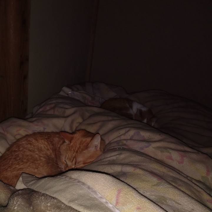 E9b64f54 8bea 46aa afac b39be49fa1ce 1766780646213